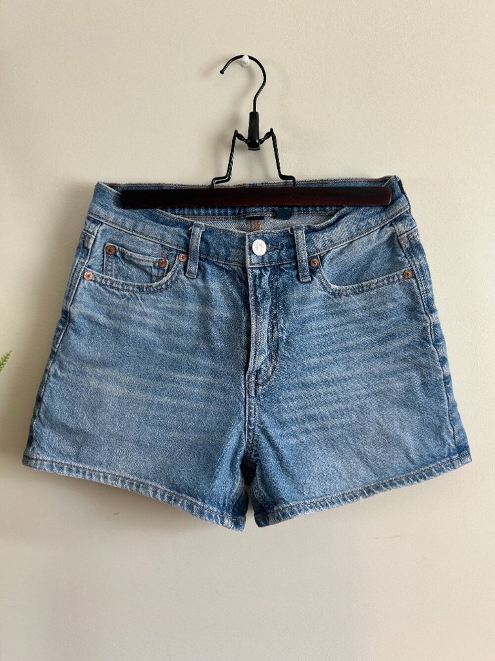 AE Strigid Jean Shorts